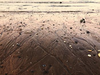 High angle view of footprints on beach