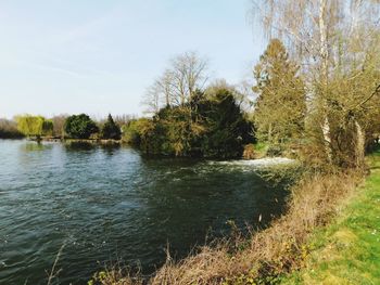 Scenic view of lake in forest against sky