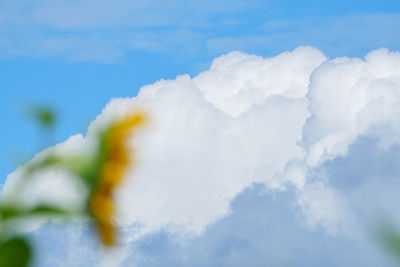 Low angle view of clouds in sky