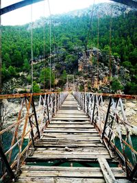 Footbridge amidst trees in forest