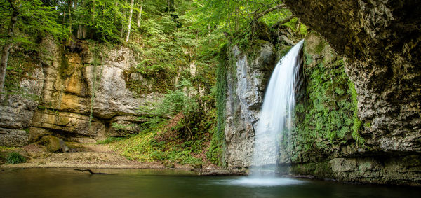 Scenic view of waterfall in forest