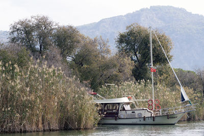 Boat by trees on river