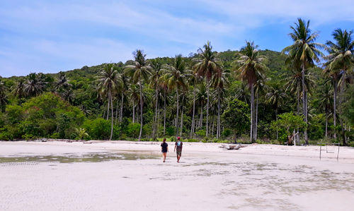 People by palm trees on beach against sky