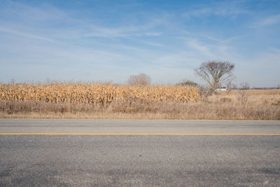 View of empty road on field against sky