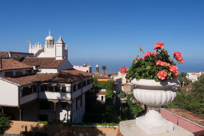 View of plants against clear blue sky