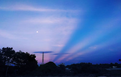 Low angle view of silhouette trees against sky at night