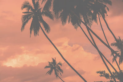 Low angle view of silhouette palm tree against orange sky