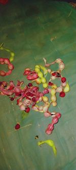 High angle view of fruits and leaves floating on water