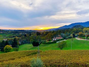 Scenic view of agricultural field against sky during sunset
