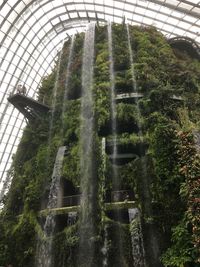Low angle view of waterfall in greenhouse
