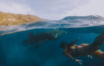 Woman swimming with whale shark in sea