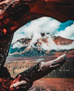 Close-up of tree stump against mountain