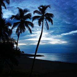 Silhouette palm trees on beach against sky