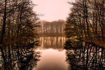 Trees by lake against sky during sunset