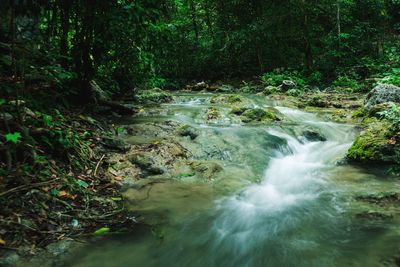 Stream flowing through rocks in forest