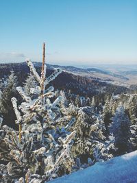 Aerial view of frozen landscape against clear sky