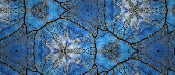 Low angle view of bare trees against blue sky