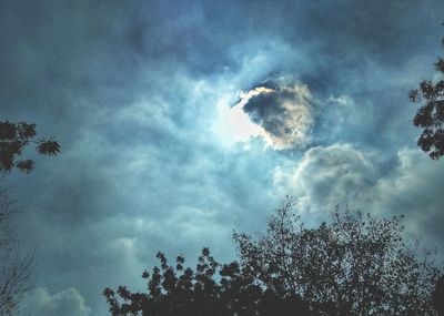 Low angle view of silhouette trees against sky