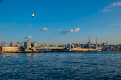 Birds flying over river with buildings in background