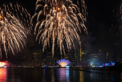 Firework display over river against sky at night