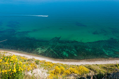 High angle view of sea shore