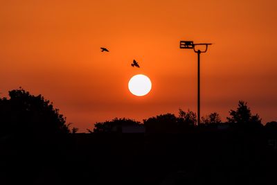 Silhouette of trees against sky at sunset