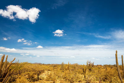 Scenic view of field against blue sky