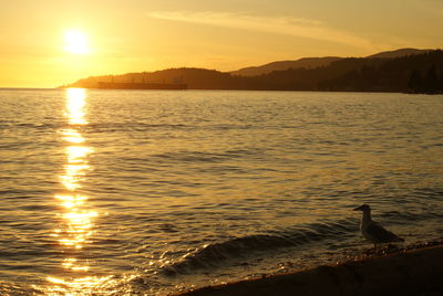 View of sea against sky during sunset