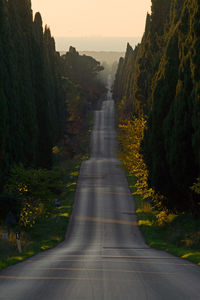 Road amidst trees against sky during sunset