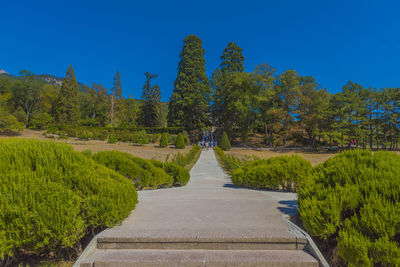 Road amidst trees against clear blue sky