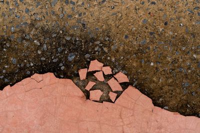 High angle view of human hand on rock