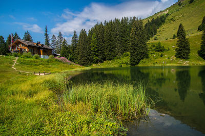 Scenic view of lake by trees against sky