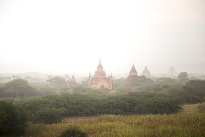 Old temples surrounded by green vegetation during sunrise in bagan
