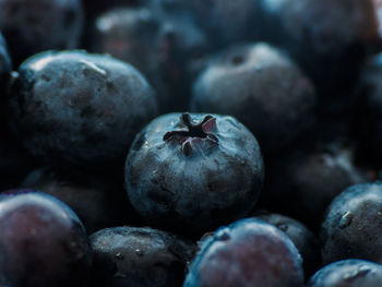 Close-up of fruits