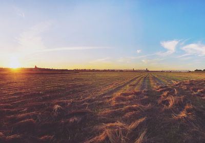 Scenic view of rural landscape