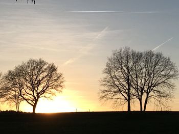 Silhouette bare tree on field against sky at sunset