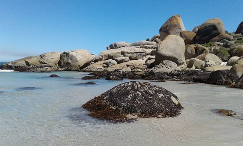 Rocks on beach against clear blue sky