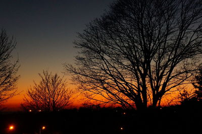 Silhouette bare trees against sky at sunset