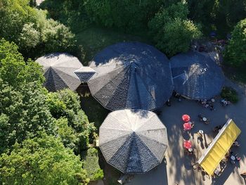 High angle view of people on plants