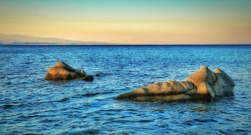 Crab on sea shore against sky during sunset