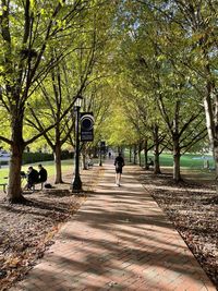 Rear view of man walking amidst trees