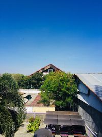 Trees and buildings against blue sky