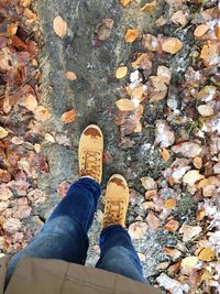 Low section of person standing on autumn leaves