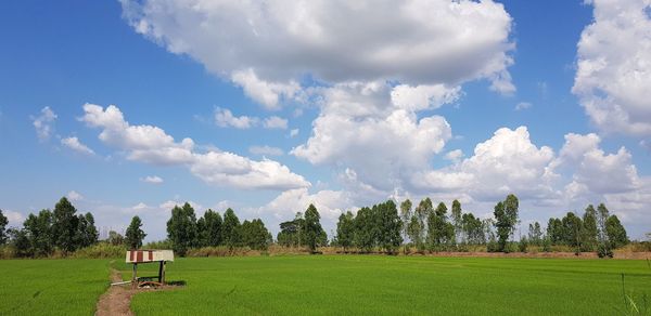 Panoramic view of field against sky