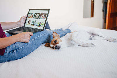 Woman at home doing video call with friends on mobile phone while jack russell dog resting on bed