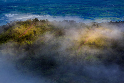 High angle view of trees on landscape against sky