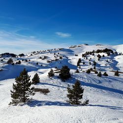 Scenic view of snow covered landscape against blue sky