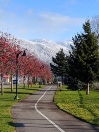 Footpath in park against sky