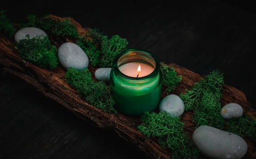 Green candle, moss and stones in the bark of a tree on a black background.