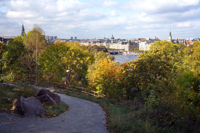 High angle view of trees and buildings in town